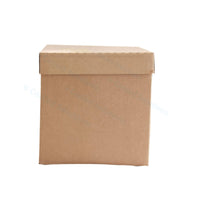 Eco Coolbox 400 x 300 x 300 mm Wit